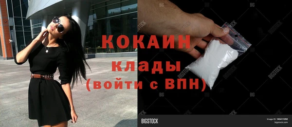 стафф Алексин